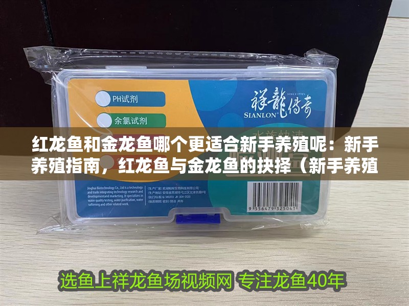 紅龍魚和金龍魚哪個更適合新手養殖呢：新手養殖指南，紅龍魚與金龍魚的抉擇（新手養殖紅龍魚和金龍魚，新手養殖紅龍魚需要考慮哪些因素）