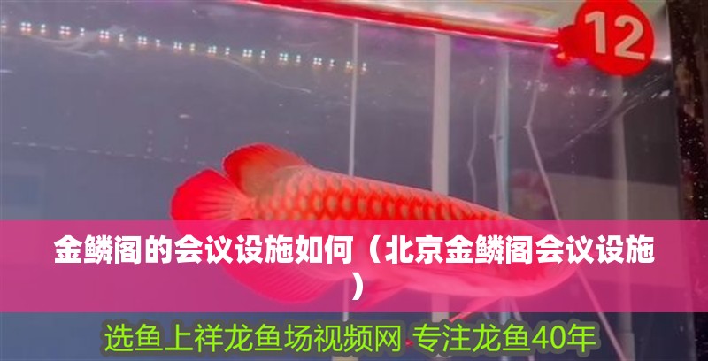 金鱗閣的會議設施如何（北京金鱗閣會議設施）