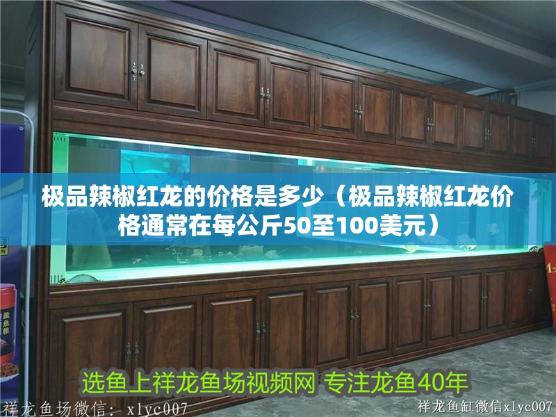 極品辣椒紅龍的價格是多少（極品辣椒紅龍價格通常在每公斤50至100美元）