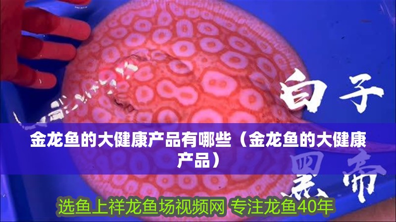 金龍魚的大健康產品有哪些（金龍魚的大健康產品）