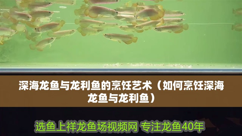 深海龍魚與龍利魚的烹飪藝術(shù)（如何烹飪深海龍魚與龍利魚）