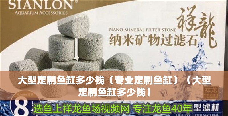 大型定制魚缸多少錢（專業(yè)定制魚缸）（大型定制魚缸多少錢）