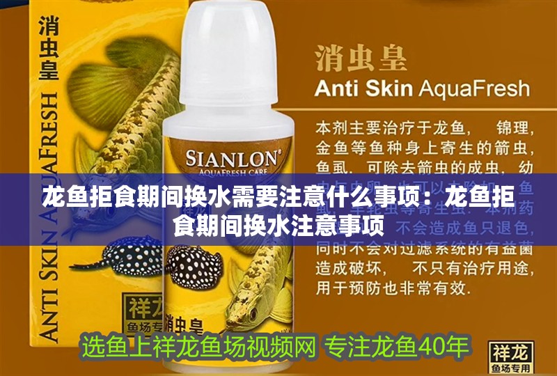龍魚拒食期間換水需要注意什么事項：龍魚拒食期間換水注意事項