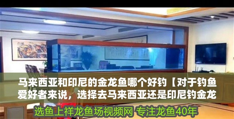 馬來西亞和印尼的金龍魚哪個好釣【對于釣魚愛好者來說，選擇去馬來西亞還是印尼釣金龍魚更合適？】