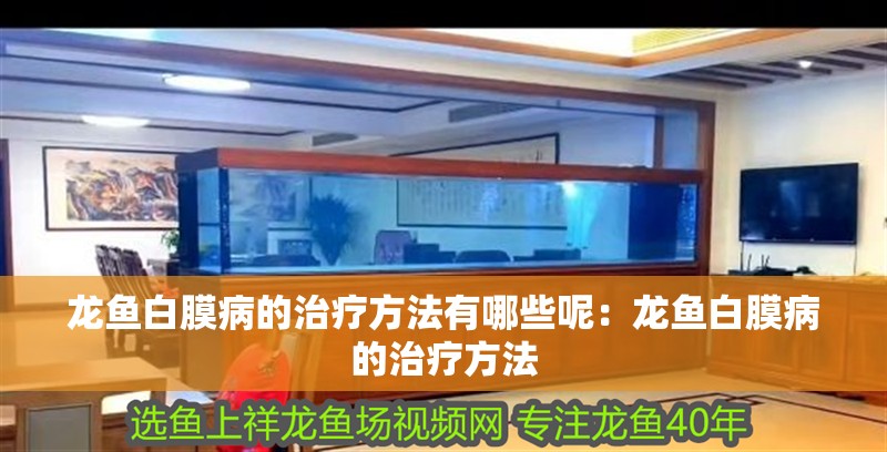 龍魚白膜病的治療方法有哪些呢：龍魚白膜病的治療方法