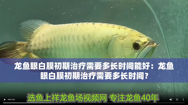龍魚眼白膜初期治療需要多長時間能好：龍魚眼白膜初期治療需要多長時間？