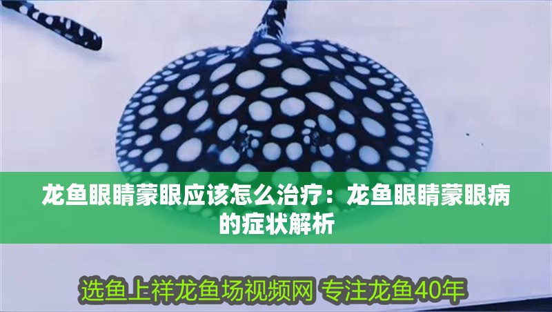 龍魚眼睛蒙眼應該怎么治療：龍魚眼睛蒙眼病的癥狀解析