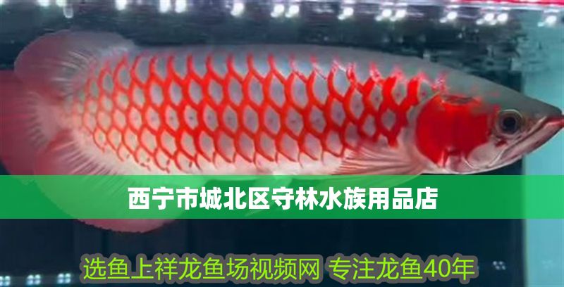 西寧市城北區(qū)守林水族用品店