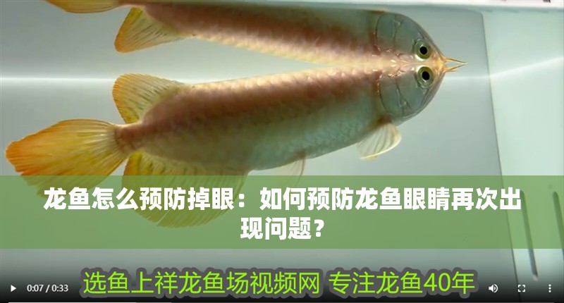 龍魚(yú)怎么預(yù)防掉眼：如何預(yù)防龍魚(yú)眼睛再次出現(xiàn)問(wèn)題？ 龍魚(yú)怎么預(yù)防掉眼：如何預(yù)防龍魚(yú)眼睛再次出現(xiàn)問(wèn)題？ 水族問(wèn)答