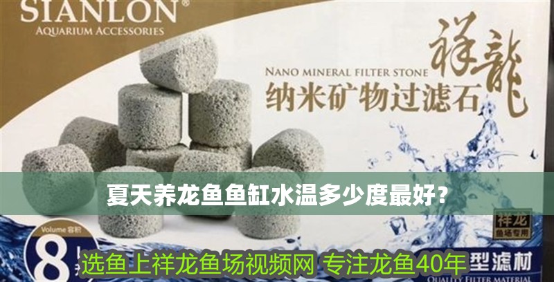 夏天養(yǎng)龍魚魚缸水溫多少度最好？