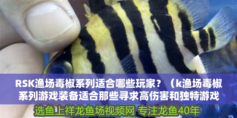 RSK漁場毒椒系列適合哪些玩家？（k漁場毒椒系列游戲裝備適合那些尋求高傷害和獨特游戲體驗的玩家）
