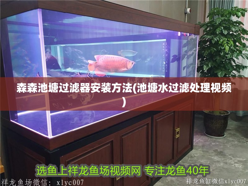 森森池塘過濾器安裝方法(池塘水過濾處理視頻)