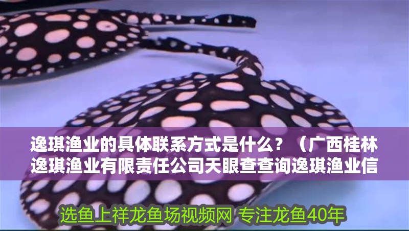 逸琪漁業(yè)的具體聯(lián)系方式是什么？（廣西<strong><mark>桂林</mark></strong>逸琪漁業(yè)有限責(zé)任公司天眼查查詢逸琪漁業(yè)信息）