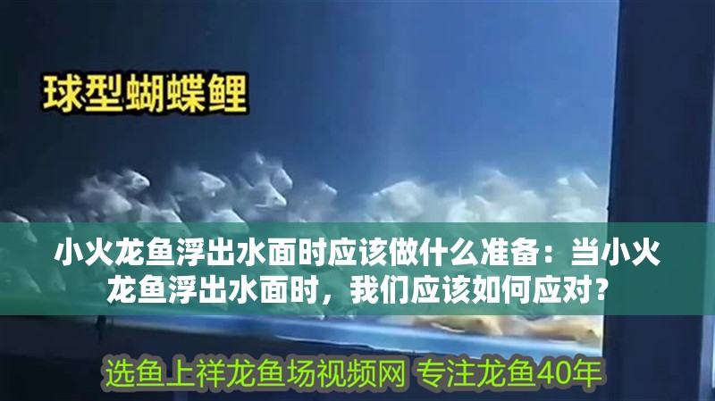 小火龍魚浮出水面時應該做什么準備：當小火龍魚浮出水面時，我們應該如何應對？