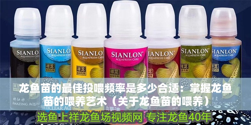 龍魚苗的最佳投喂頻率是多少合適：掌握龍魚苗的喂養藝術（關于龍魚苗的喂養） 龍魚苗的最佳投喂頻率是多少合適：掌握龍魚苗的喂養藝術（關于龍魚苗的喂養） 水族問答