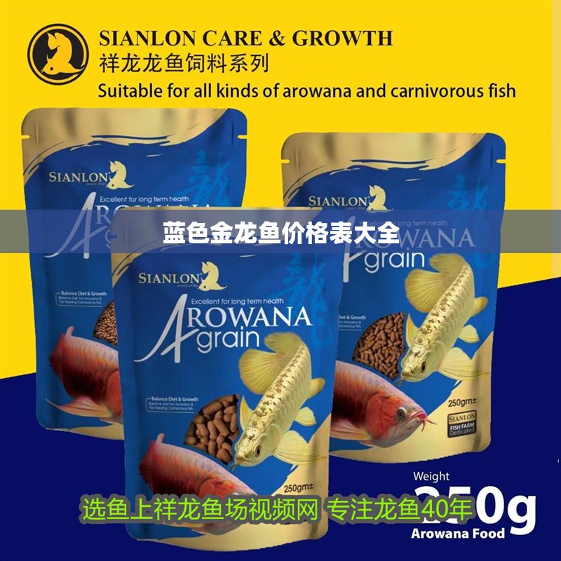藍色金龍魚價格表大全