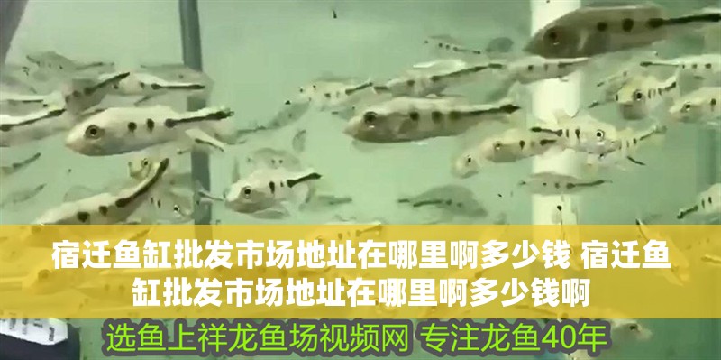 宿遷魚缸批發市場地址在哪里啊多少錢 宿遷魚缸批發市場地址在哪里啊多少錢啊