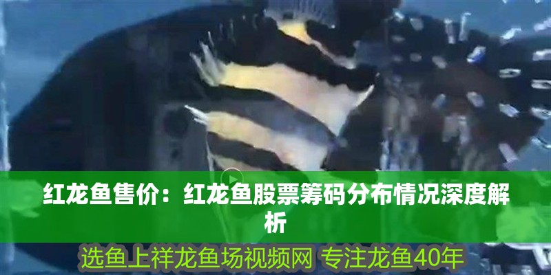 紅龍魚售價：紅龍魚股票籌碼分布情況深度解析