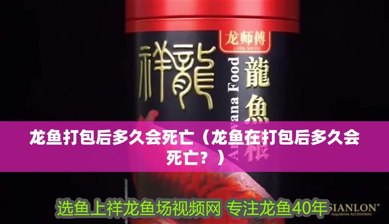 龍魚打包后多久會死亡（龍魚在打包后多久會死亡？）