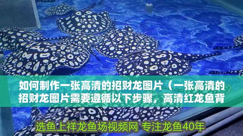 如何制作一張高清的招財龍圖片（一張高清的招財龍圖片需要遵循以下步驟，高清紅龍魚背景圖）