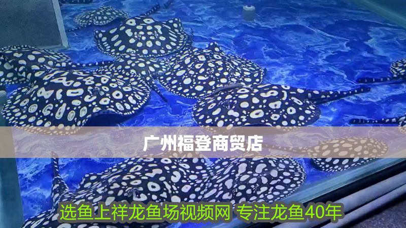 廣州福登商貿(mào)店