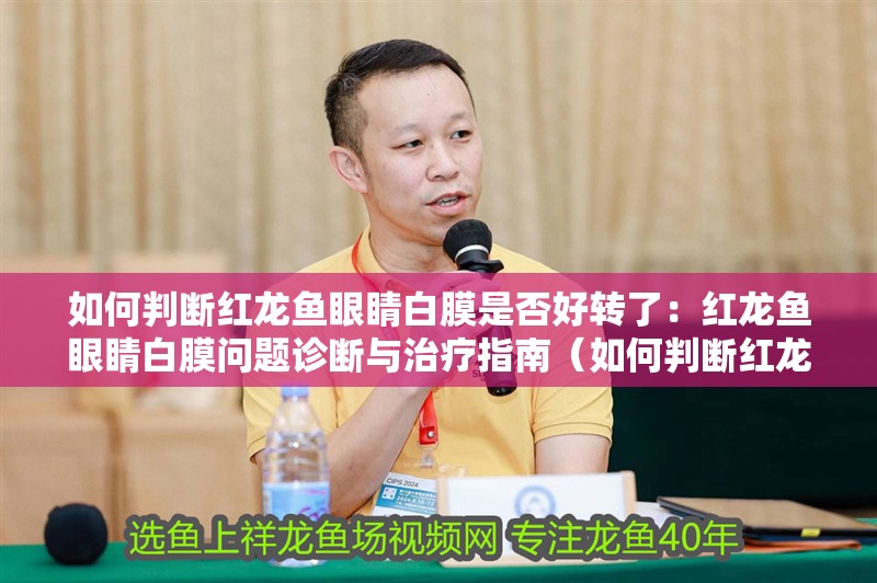 如何判斷紅龍魚眼睛白膜是否好轉(zhuǎn)了：紅龍魚眼睛白膜問題診斷與治療指南（如何判斷紅龍魚的眼睛白膜是否好轉(zhuǎn)）