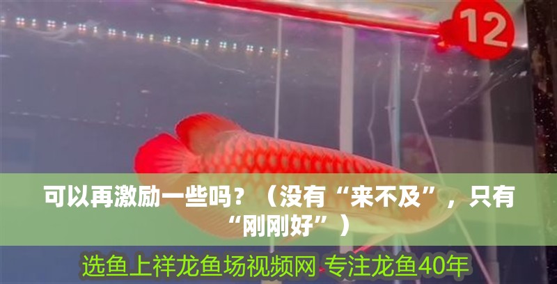 可以再激勵(lì)一些嗎？（沒有“來(lái)不及”，只有“剛剛好”）