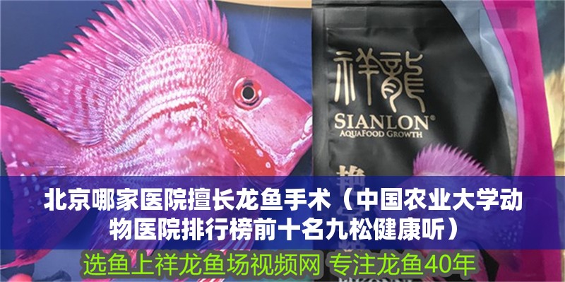 北京哪家醫院擅長龍魚手術（中國農業大學動物醫院排行榜前十名九松健康聽）