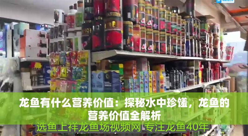 龍魚有什么營養價值：探秘水中珍饈，龍魚的營養價值全解析