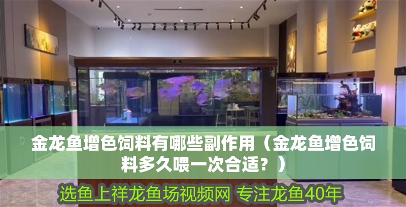 金龍魚增色飼料有哪些副作用（金龍魚增色飼料多久喂一次合適？）