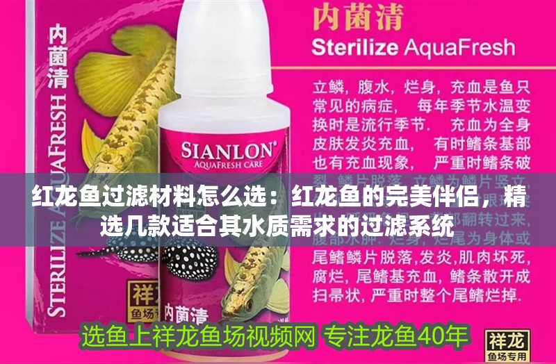 魚缸造景先放沙還是先放水(魚缸造景先鋪沙還是先放石頭) 紅龍魚過濾材料怎么選:紅龍魚的完美伴侶,精選幾款適合其水質需求的過濾系統 水族問答 紅龍魚過濾材料怎么選:紅龍魚的完美伴侶,精選幾款適合其水質需求的過濾系統 紅龍魚過濾材料怎么選:紅龍魚的完美伴侶,精選幾款適合其水質需求的過濾系統 水族問答