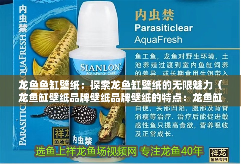 龍魚魚缸壁紙：探索龍魚缸壁紙的無限魅力（龍魚缸壁紙品牌壁紙品牌壁紙的特點：龍魚缸壁紙品牌）