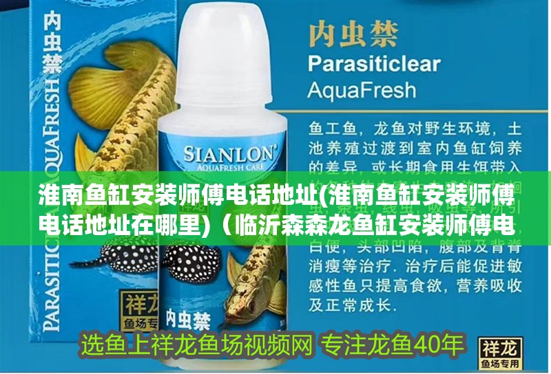 淮南魚缸安裝師傅電話地址(淮南魚缸安裝師傅電話地址在哪里)（臨沂森森龍魚缸安裝師傅電話地址和淮南魚缸安裝師傅電話地址）