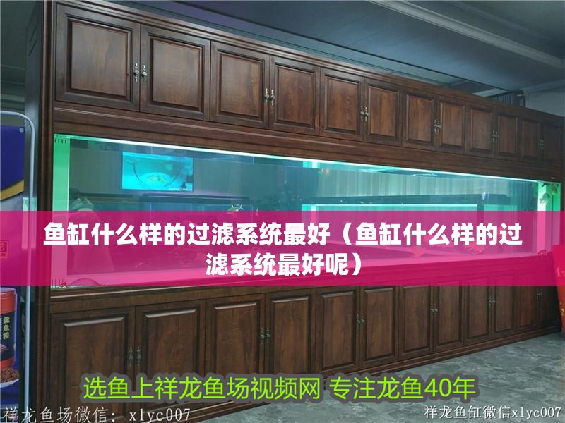 魚缸什么樣的過濾系統最好（魚缸什么樣的過濾系統最好呢）