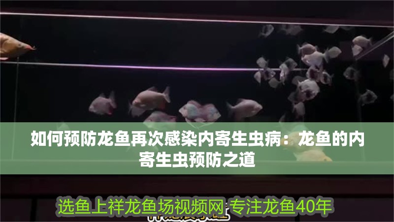 如何預防龍魚再次感染內(nèi)寄生蟲病：龍魚的內(nèi)寄生蟲預防之道