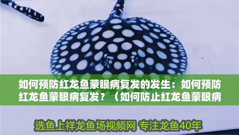 如何預防紅龍魚蒙眼病復發的發生：如何預防紅龍魚蒙眼病復發？（如何防止紅龍魚蒙眼病復發）