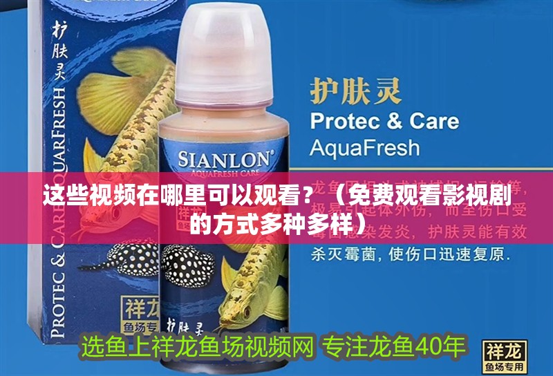 這些視頻在哪里可以觀看？（免費(fèi)觀看影視劇的方式多種多樣）