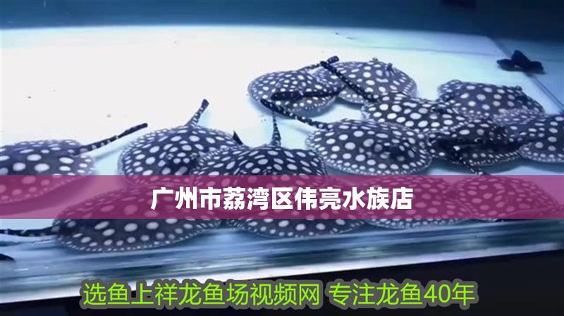 廣州市荔灣區偉亮水族店