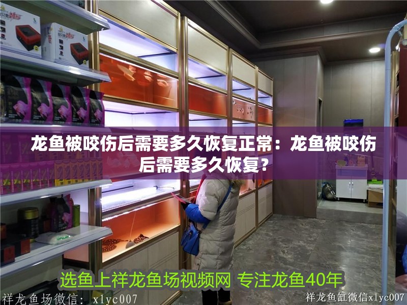 龍魚被咬傷后需要多久恢復(fù)正常：龍魚被咬傷后需要多久恢復(fù)？
