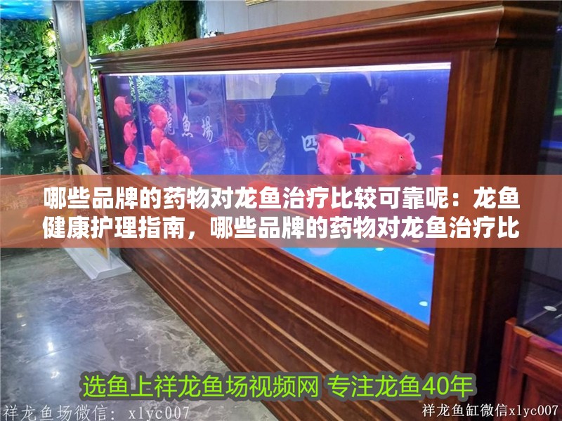 哪些品牌的藥物對龍魚治療比較可靠呢：龍魚健康護理指南，哪些品牌的藥物對龍魚治療比較可靠？
