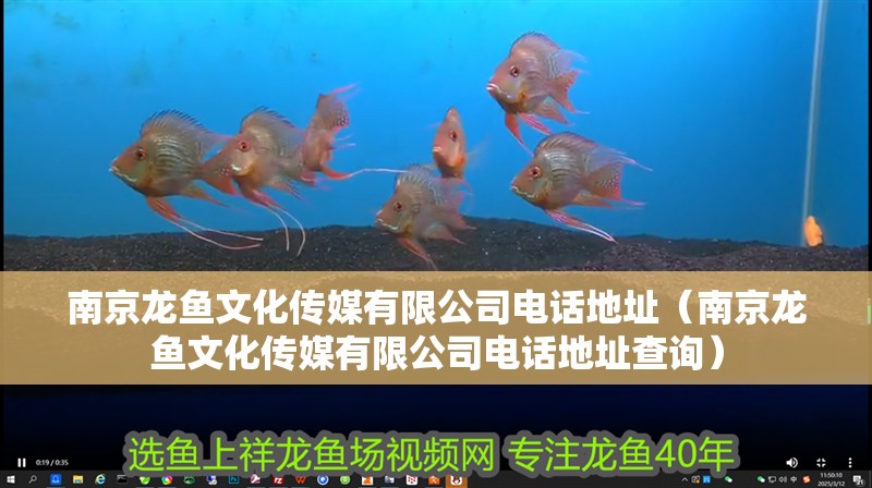 南京龍魚文化傳媒有限公司電話地址（南京龍魚文化傳媒有限公司電話地址查詢）