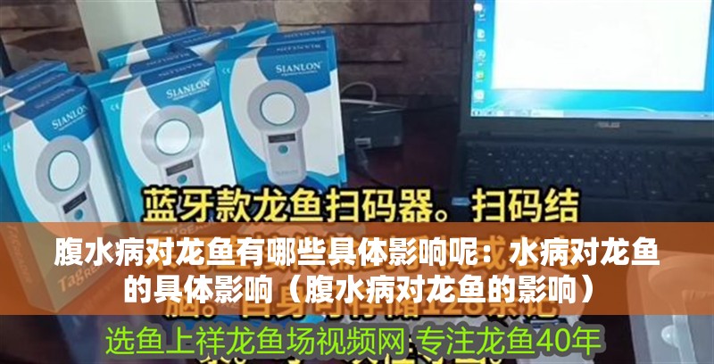 腹水病對龍魚有哪些具體影響呢：水病對龍魚的具體影響（腹水病對龍魚的影響）