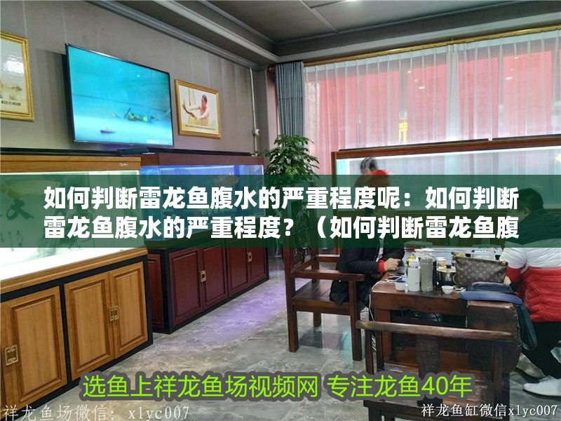 如何判斷雷龍魚腹水的嚴重程度呢：如何判斷雷龍魚腹水的嚴重程度？（如何判斷雷龍魚腹水嚴重程度）