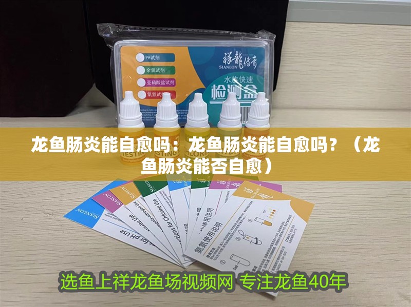 龍魚腸炎能自愈嗎：龍魚腸炎能自愈嗎？（龍魚腸炎能否自愈）