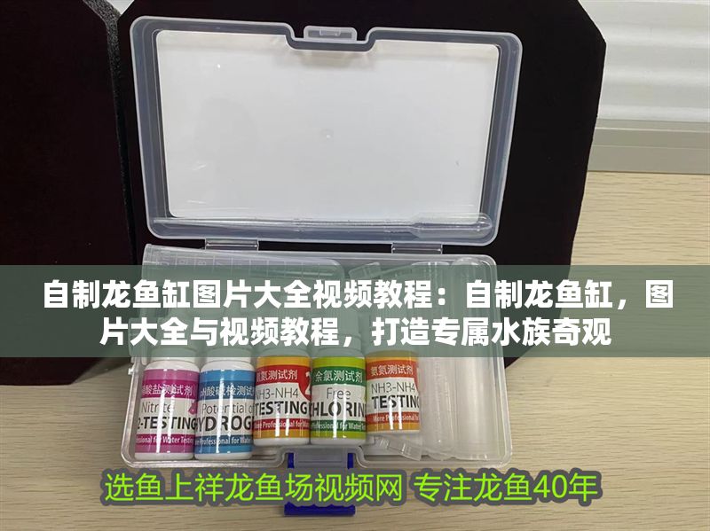 自制龍魚缸圖片大全視頻教程：自制龍魚缸，圖片大全與視頻教程，打造專屬水族奇觀