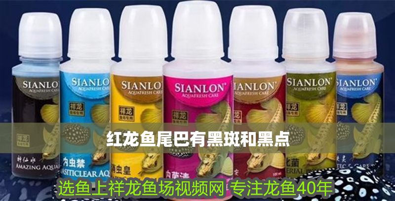 紅龍魚尾巴有黑斑和黑點