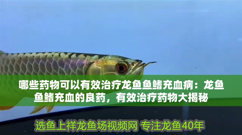 哪些藥物可以有效治療龍魚魚鰭充血病：龍魚魚鰭充血的良藥，有效治療藥物大揭秘