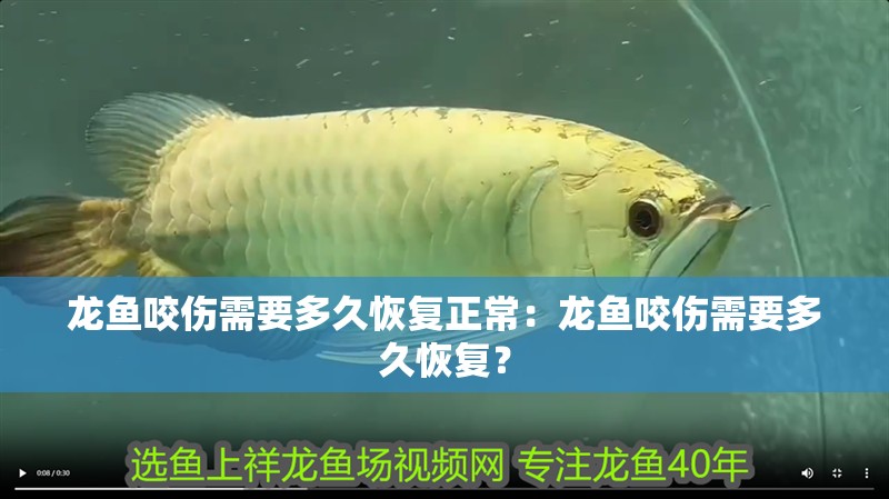 龍魚咬傷需要多久恢復正常：龍魚咬傷需要多久恢復？ 龍魚咬傷需要多久恢復正常：龍魚咬傷需要多久恢復？ 水族問答