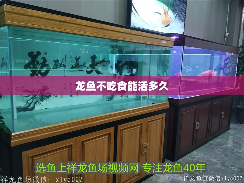 龍魚不吃食能活多久