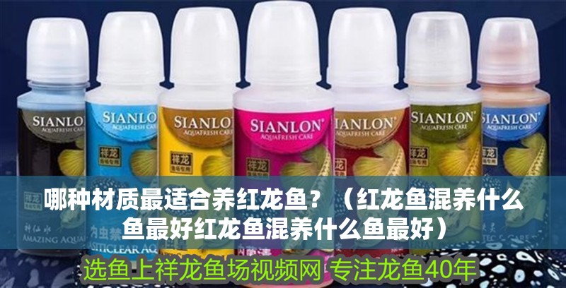 哪種材質(zhì)最適合養(yǎng)紅龍魚？（紅龍魚混養(yǎng)什么魚最好紅龍魚混養(yǎng)什么魚最好）